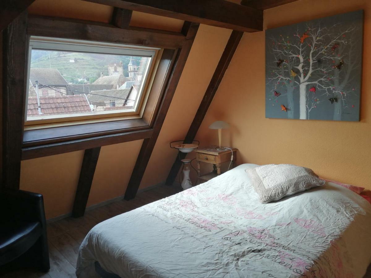 Gite Les Papillons Ribeauvillé Εξωτερικό φωτογραφία